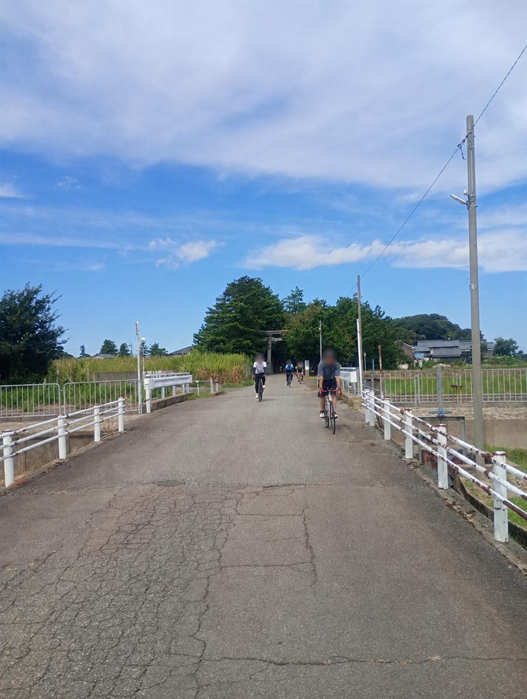 市場でエビ祭りライド